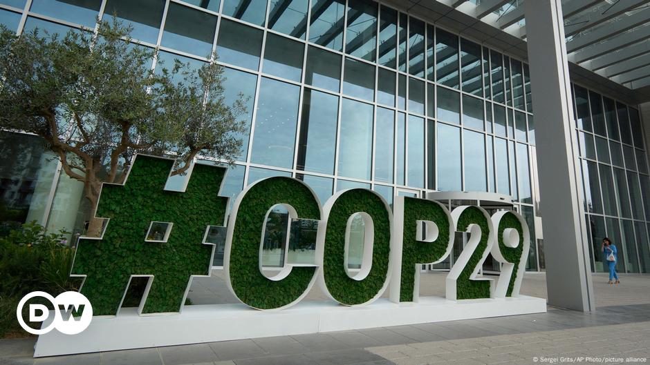 Brazil’s Bold Climate Pledge at COP29: A Step Forward or a Missed Opportunity?