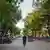 A man walks down a tree-lined street in Mumbai