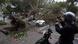 A man takes a photograph of a car crushed by a fallen tree due to the impact of Typhoon Kong-rey in Taipei, Taiwan on Friday, November 1 A man takes a photograph of a car crushed by a fallen tree due to the impact of Typhoon Kong-rey in Taipei, Taiwan on Friday, November 1