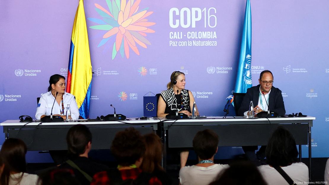 Florika Fink-Hooijer, die Chefin der EU-Generaldirektion Umwelt, mit ernster Miene bei einer Pressekonferenz in Cali 