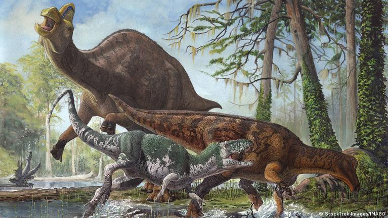 Enigma de primeros dinosaurios estaría oculto en el Amazonas – DW – 24/01/2025