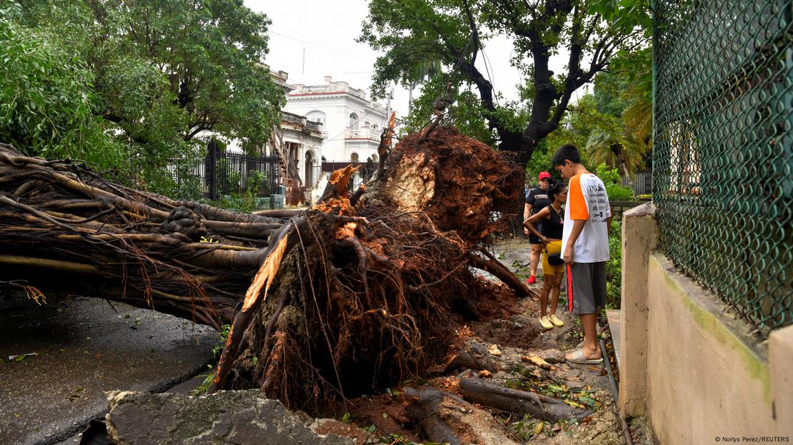 La caída de árboles durante el paso del huracán Rafael, provocó daños en la red del tendido eléctrico en La Habana.