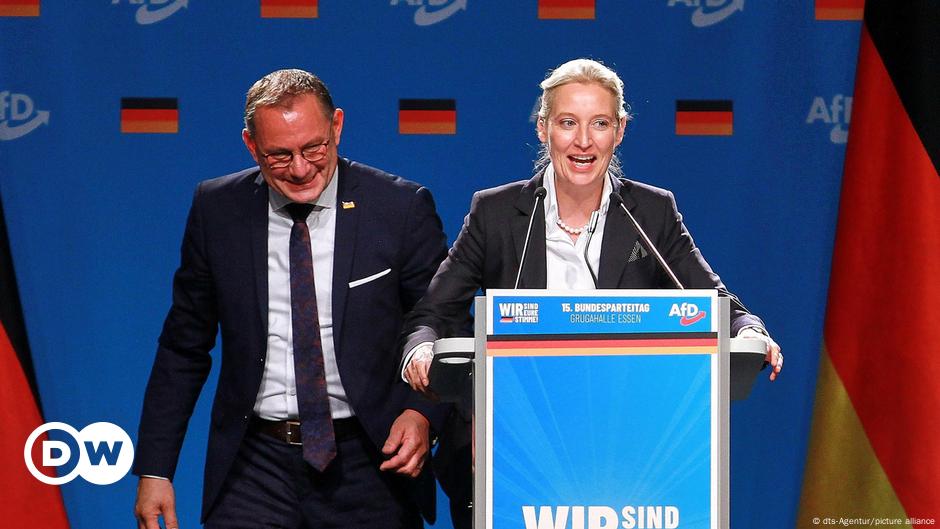 En Allemagne, l'AfD presse pour des élections anticipées