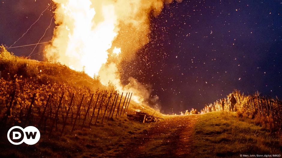 Martinsfeuer auf den Weinbergen des Ahrtals