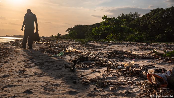 Como pescadores ressuscitaram uma floresta no Rio de Janeiro