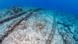 Thick cables shown on the Pacific Ocean floor Thick cables shown on the Pacific Ocean floor