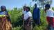 Un groupe de femmes réfugiées produisent du maïs ensemble à Beni en RDC Un groupe de femmes réfugiées produisent du maïs ensemble à Beni en RDC