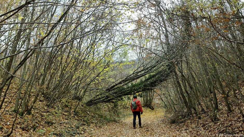 Suva planina kod Niša