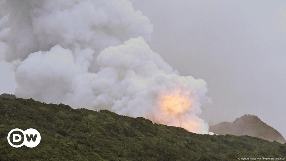 Japan aborts rocket test after fire