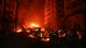 Carros incendiados pegam fogo em cidade na escuridão Carros incendiados pegam fogo em cidade na escuridão