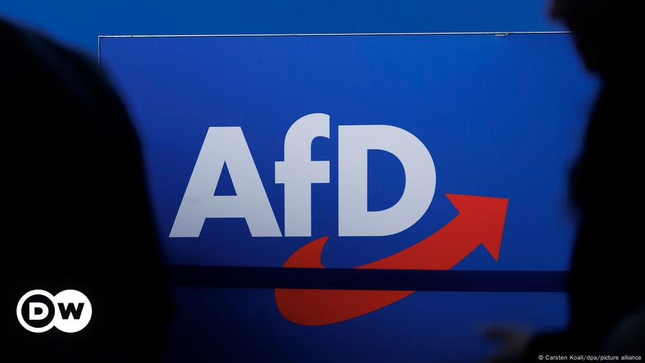 L'AfD veut une refonte de la branche jeunesse du parti