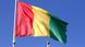 Drapeau national de la Guinée Drapeau national de la Guinée