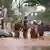 People stand on a flooded street after heavy rainfall in Puducherry, India