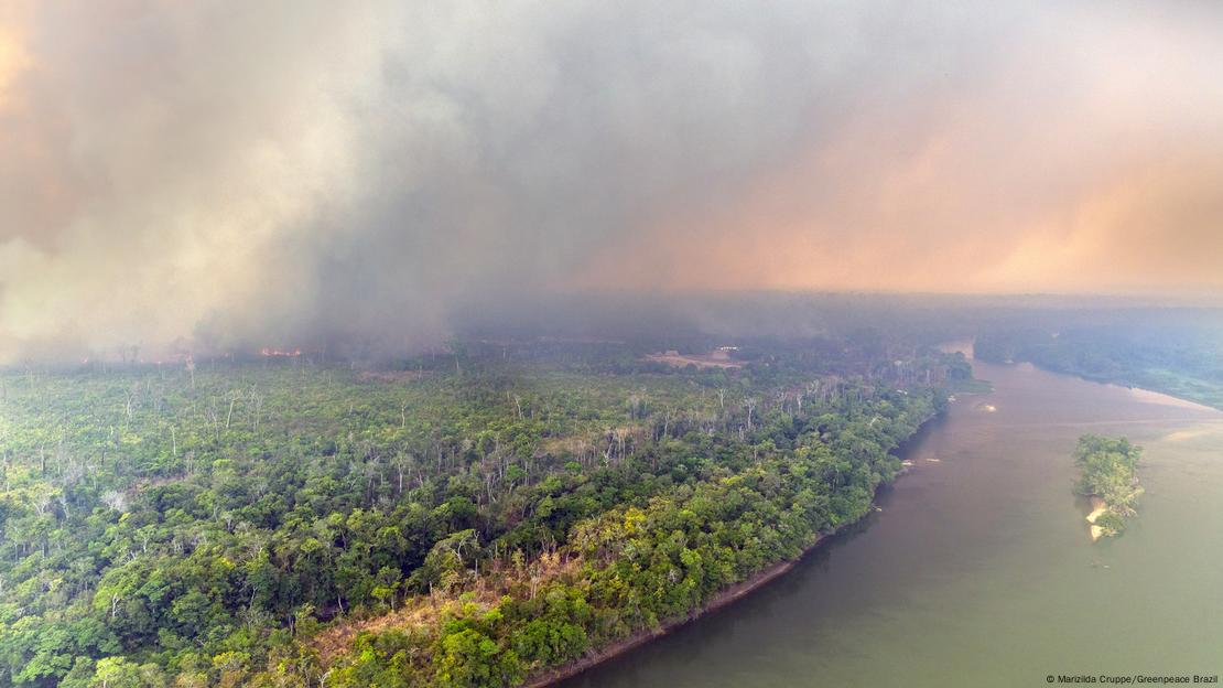 El papa Francisco contribuyó a visibilizar la fragilidad de la Amazonia El papa Francisco contribuyó a visibilizar la fragilidad de la Amazonia