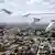 Senegal Dakar 2024 | Vue aérienne de Dakar depuis un avion dont on aperçoit une aile en haut de la photo