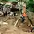 Rescuers search for victims at the site of a landslide in Cisarakan village