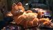Garfield, el icónico gato naranja, comparte su color con millones de felinos cuyo pelaje depende de una mutación genética en el cromosoma X.