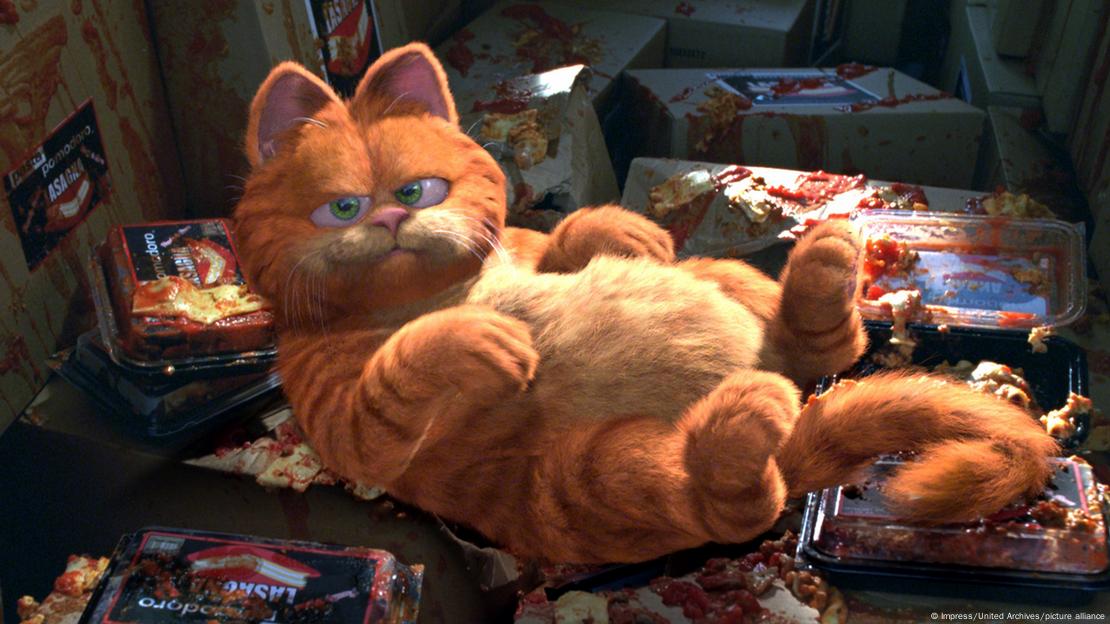 Garfield, el icónico gato naranja, comparte su color con millones de felinos cuyo pelaje depende de una mutación genética en el cromosoma X.