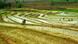 Sawah di Blora, Jawa Tengah Sawah di Blora, Jawa Tengah