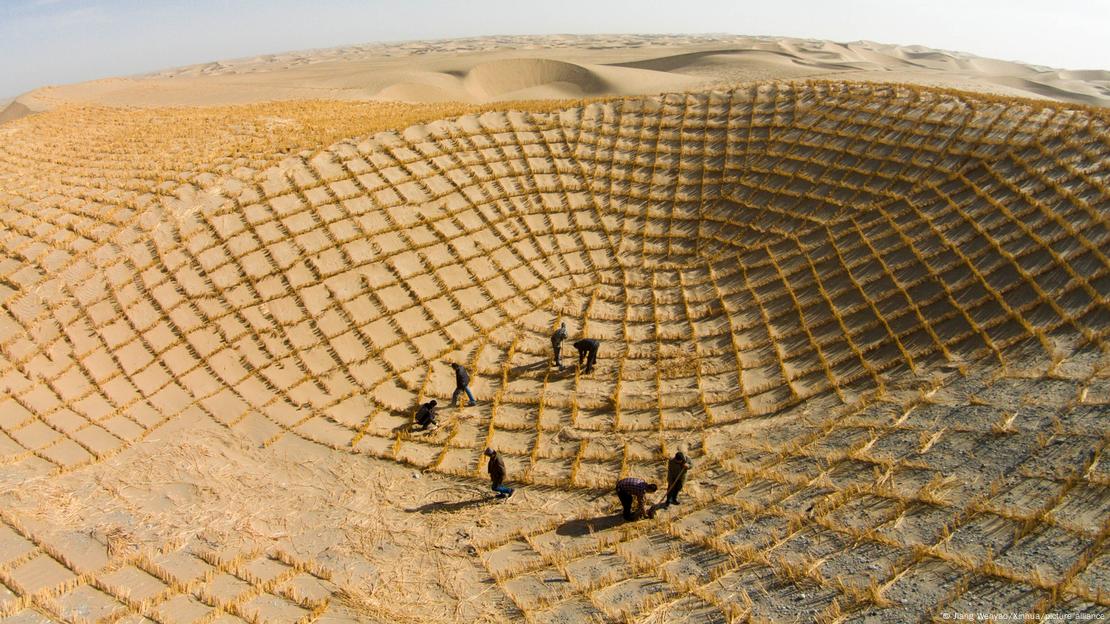 La Gran Muralla Verde de China completó en 2024 su cinturón forestal de 3.000 kilómetros tras 46 años de trabajo continuo. La Gran Muralla Verde de China completó en 2024 su cinturón forestal de 3.000 kilómetros tras 46 años de trabajo continuo.
