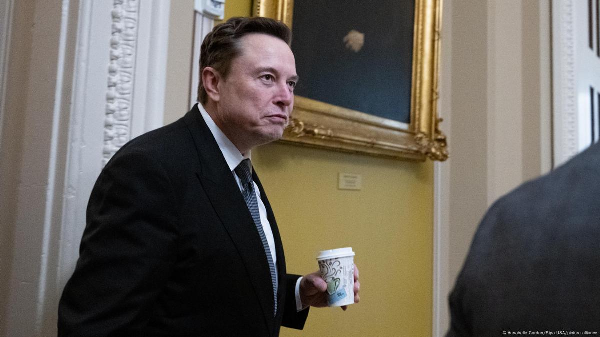 Elon Musk defiende su apoyo a la ultraderechista AfD – DW – 28/12/2024