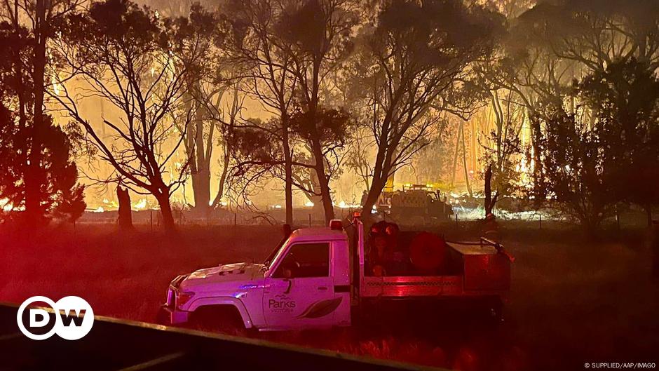 Bushfires burn out of control in Victoria – DW – 12/21/2024