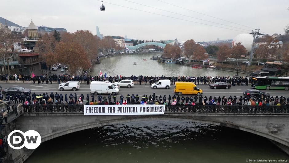 Georgia: Pro-EU protesters, president form human chain – DW – 12/28/2024