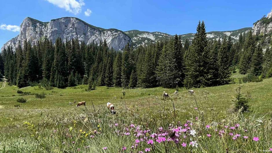 Nacionalni park Durmitor u Crnoj Gori