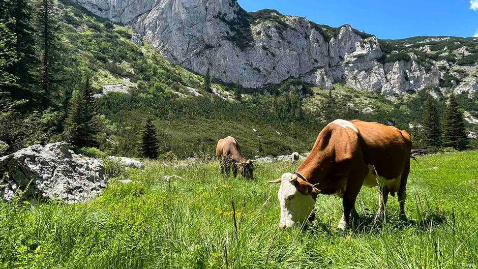 Nacionalni park Durmitor