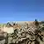 Damaged houses are pictured after an earthquake in Tonglai Village, Changsuo Township of Dingri 