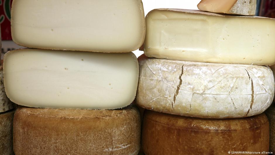 Less Processed Cheese Environmentally friendly cheese – made with and without cows