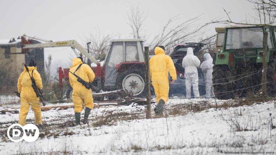 German authorities move to contain foot-and-mouth disease - DW (English)