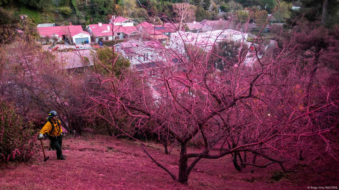 Un bombero descansa en un terreno cubierto de retardante de llama rosado.