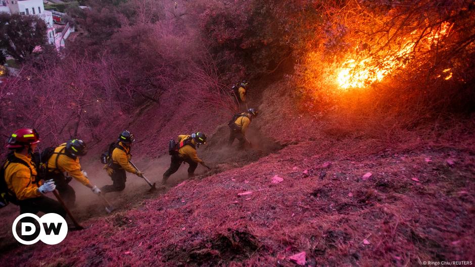 Los Angeles braces for return of high winds amid wildfires – DW – 01/13/2025