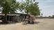 A person on a cart carrying hay in a village in Borno, Nigeria.