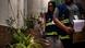 Inspetores sanitários procuram eventuais focos do mosquito 'aedes aegypti' em São Paulo Inspetores sanitários procuram eventuais focos do mosquito 'aedes aegypti' em São Paulo