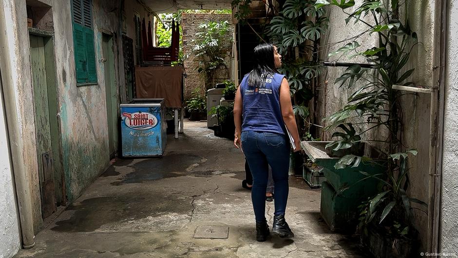 Fábricas de mosquitos para combatir el dengue, ¿una solución eficaz?