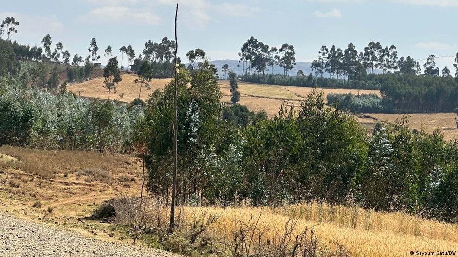 በኦሮሚያ እና ማዕከላዊ-ኢትዮጵያ ክልሎች አዋሳኝ ስጋት ያጫረው የታጣቂዎች እንቅስቃሴ በኦሮሚያ እና ማዕከላዊ-ኢትዮጵያ ክልሎች አዋሳኝ ስጋት ያጫረው የታጣቂዎች እንቅስቃሴ