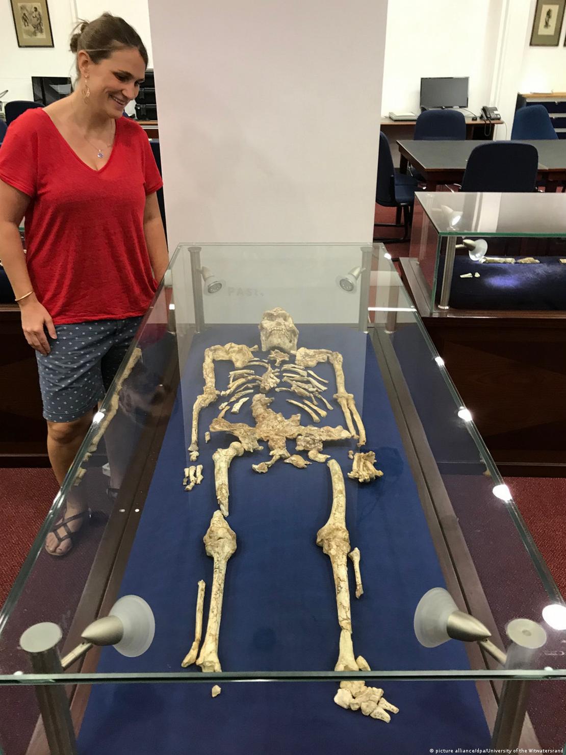 Tina Lüdecke junto a "Little Foot", un esqueleto de "Australopithecus" extraordinariamente bien conservado que fue descubierto en las cuevas de Sterkfontein, y considerado el esqueleto más completo de un prehumano jamás encontrado.