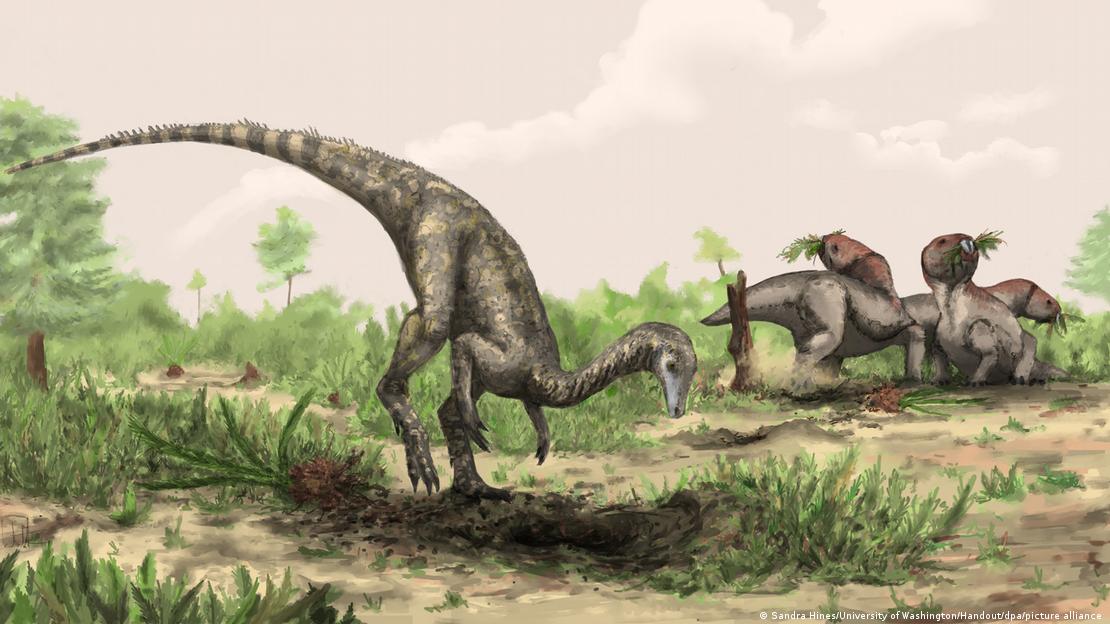 Enigma de primeros dinosaurios estaría oculto en el Amazonas – DW – 24/01/2025