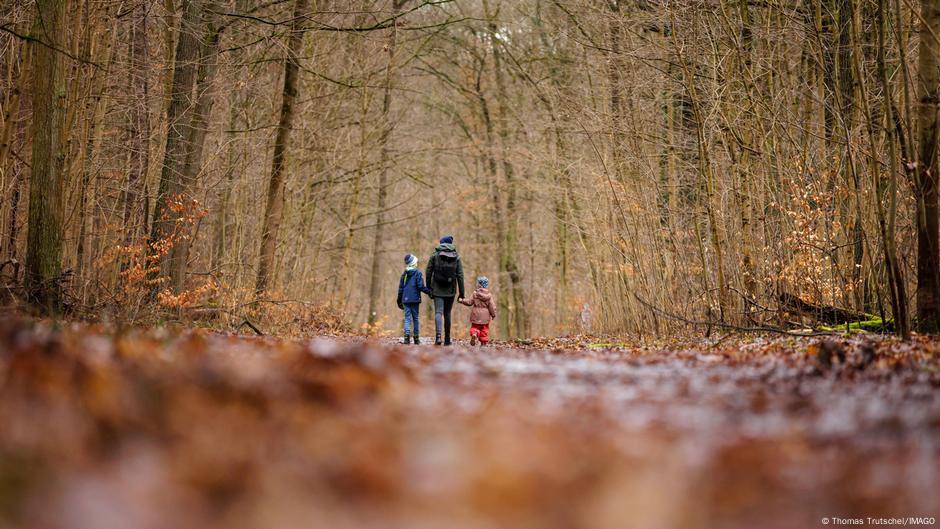 Šuma u jesen u Berlinu, 25. januara 2025: u Berlinu ima više od 17.500 hektara šuma