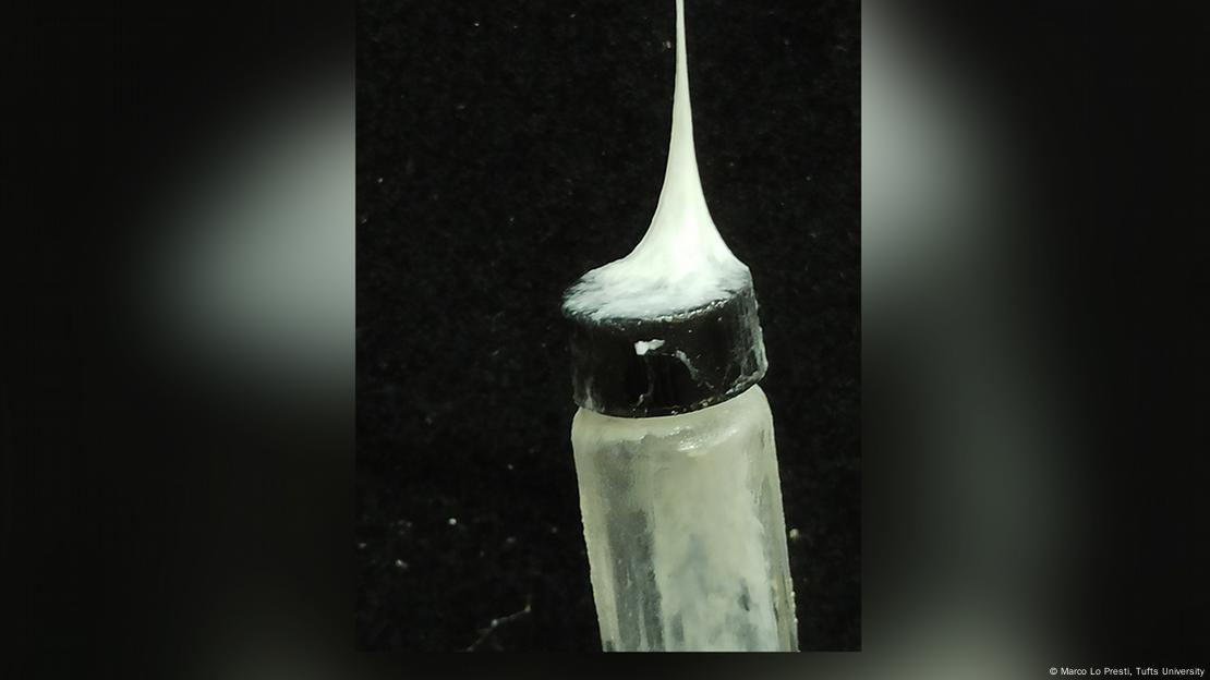 La nueva fibra sintética demostró poder levantar objetos que pesan 80 veces su propio peso en las pruebas de laboratorio. La nueva fibra sintética demostró poder levantar objetos que pesan 80 veces su propio peso en las pruebas de laboratorio.