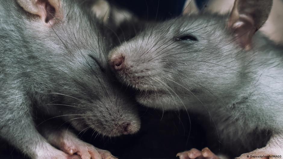 ¿Se lleva en los genes ser un buen padre?