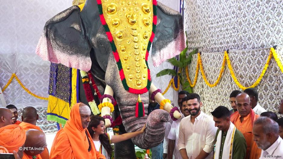 Robotic elephant in Indian temple rituals – DW – 02/07/2025