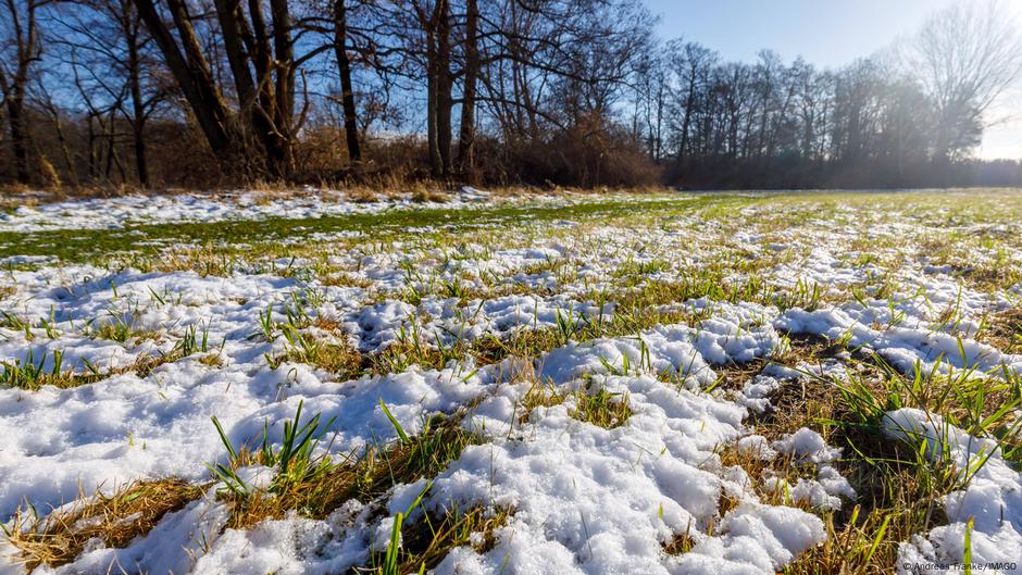 klimaexperten-2025-beginnt-mit-berraschendem-w-rmerekord