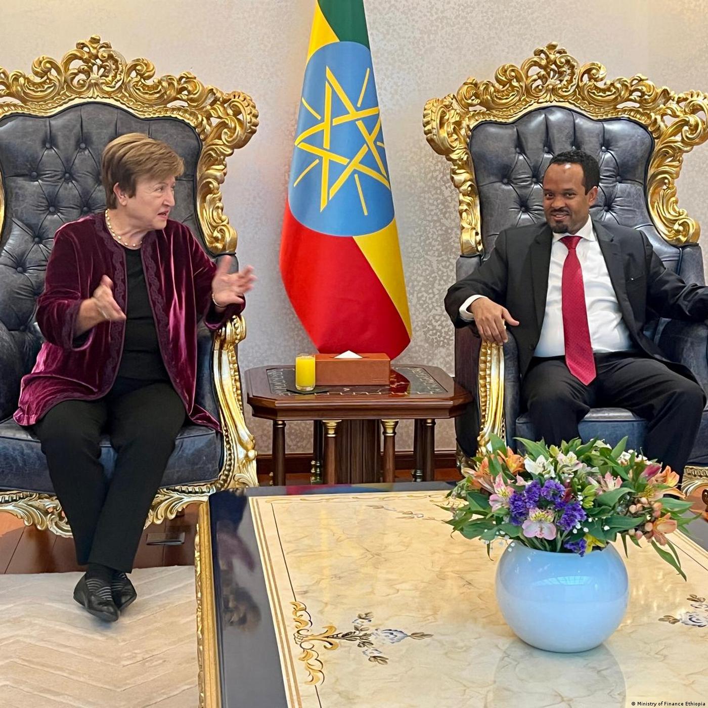 የኢትዮጵያ ቦንድ ባለቤቶች የዓለም አቀፉ የገንዘብ ድርጅትን ሪፖርት ለምን ተቃወሙ?