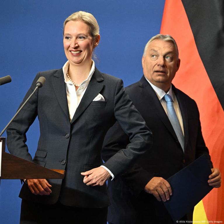 Hungary's Orban hosts Germany's AfD leader Alice Weidel – DW – 02/13/2025