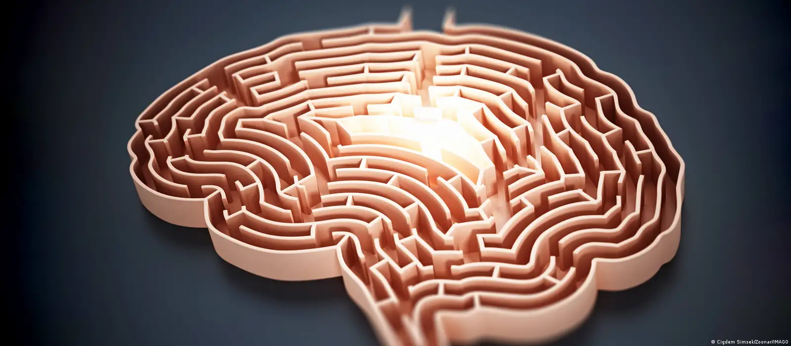 Descubren el mecanismo cerebral que desata la creatividad – DW – 14/02/2025