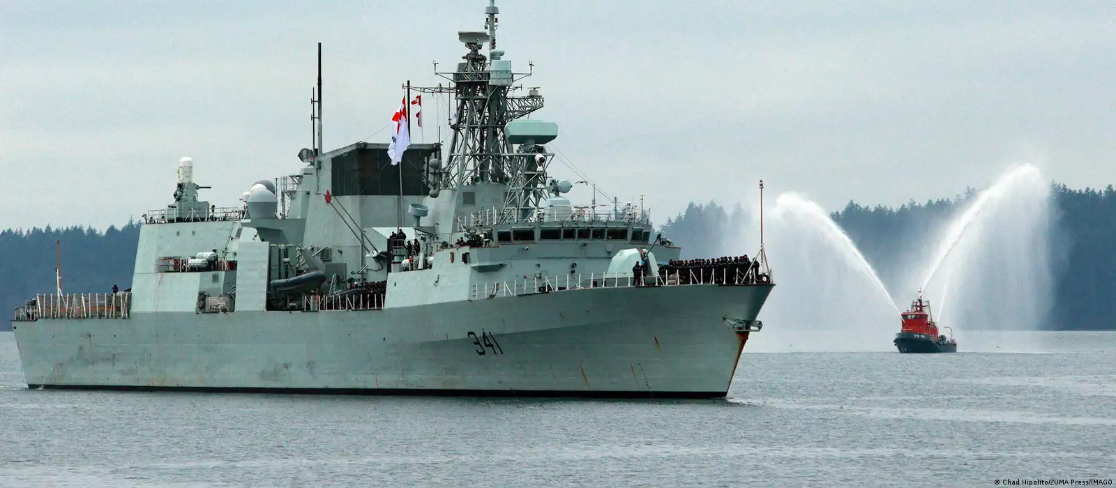 P.mericurius（1オス、中国青海省マチン山） Canadian warship passing through Taiwan Strait irks China