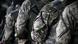 The arms and torsos of several uniformed British soldiers 